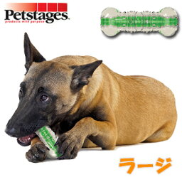 ダッドウェイ　ペットステージ　クランチコア・ボーン　ラージ【犬のおもちゃ/犬用おもちゃ】【犬用品・犬/ペット・ペットグッズ・ペット用品/オモチャ】【39ショップ】