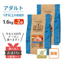  セレクトバランス グレインフリー アダルト チキン (成猫用) 1.6kg ＜2個セット＞  国産 1才以上 成猫 毛玉 プレミアムフード 猫 キャットフード SELECT BALANCE 1才 