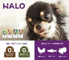 【ポイント10倍&おまけ付】HALOハロー犬シニア7+小粒ヘルシーサーモングレインフリー900g中高齢犬ドッグフードプレミアムフード7才高齢食物アレルギー穀物不使用Haloペット