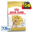 【ポイント15倍★11日10時迄】ロイヤルカナン 7.5kg プードル 犬 生後10か月齢以上 ジッパー付き ブリードヘルスニュートリション BHN 成犬用 ドッグフード 犬 いぬ ドライ フード プレミアムフード 総合栄養食 お得 まとめ買い 大容量 3182550716932 ROYALCANIN【rcdb13】