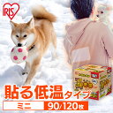 犬 ペット 散歩 外 お出掛け お出かけ 冬 ふゆ カイロ 貼るカイロ 低温 ミニ 90枚 120枚 低温カイロ 貼る 貼るタイプ 貼るカイロミニ 使い捨てカイロ 使い捨て まとめ買い おなか ほんわか 室内 防寒 寒さ対策 防災 ぽかぽか家族 アイリスオーヤマ