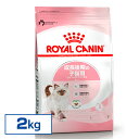 ロイヤルカナン キトン プレミアムフード ドライ ドライフード 猫 仔猫 猫フード 2kg 後期 キャットフード FHN 単品 2個セット 6個セット まとめ買...