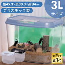 \楽天ランキング1位!!/虫かご 昆虫ケース 飼育ケース 飼育ランドジャンボ 3L 昆虫採取 夏休み 自由研究 飼育観察 幅45.3×奥行30.3×高34cm パールブルー ブラック 虫かご むしかご 虫籠 虫入れ カブトムシ クワガタ CY-3L