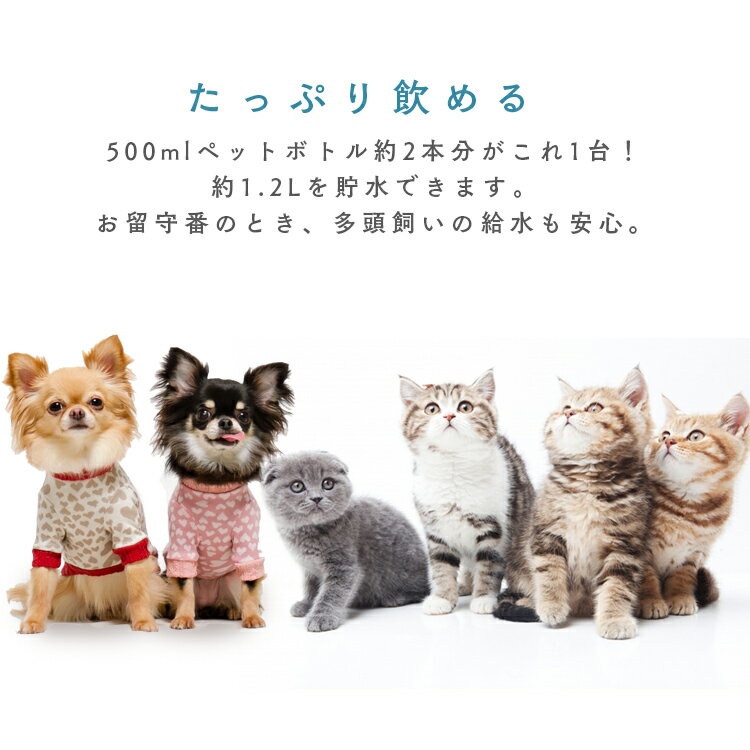 ペット用自動給水機ホワイト/クリアPWF-200給水給水器給餌食器水自動交換ペットペット用ペット用品犬イヌいぬ犬用イヌ用いぬ用犬用品イヌ用品ネコ猫ねこ猫用ネコ用ねこ用猫用品ネコ用品アイリスオーヤマ
