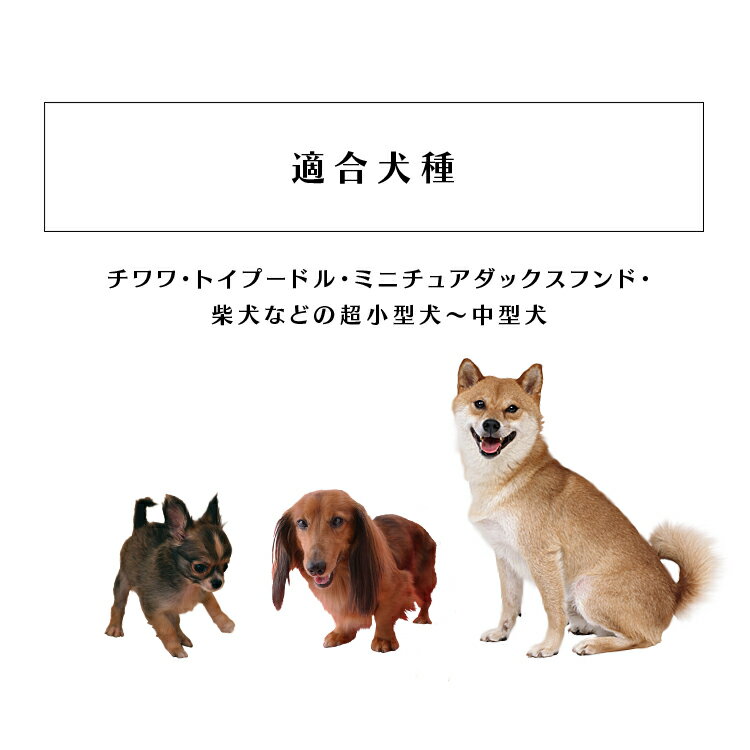 ワイヤーサークルブラウンPWC-628ペットサークルペットペットケージペットサークル室内用柵サークルケージゲージ犬いぬドッグ超小型犬小型犬中型犬簡単組み立てジョイント変形アイリスオーヤマ