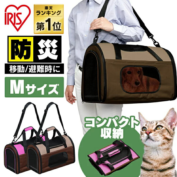 運びやすくて便利！病院が嫌いな子でも大丈夫な猫用のキャリーケース・バッグはどれがおすすめ？
