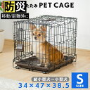 【目玉価格&P3倍★5/9 20時～】猫 犬 