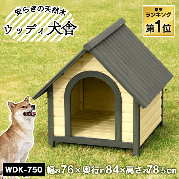 犬 中型犬 屋外 小屋 犬小屋 屋外 中