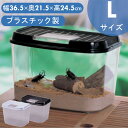 虫かご 昆虫ケース 飼育ケース 昆虫 虫かご 飼育ランド CY-Lパールブルー ブラック 虫 虫かご かご カゴ 虫 虫取り 夏休み 自由研究 観察 クリア クリアケース 飼育 飼う カブトムシ クワガタ メダカ めだか