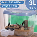 虫かご 昆虫ケース 飼育ケース 飼育ランドジャンボ 3L 昆虫採取 夏休み 自由研究 飼育観察 幅45.3×奥行30.3×高34cm パールブルー ブラック 虫かご むしかご 虫籠 虫入れ カブトムシ クワガタ CY-3L