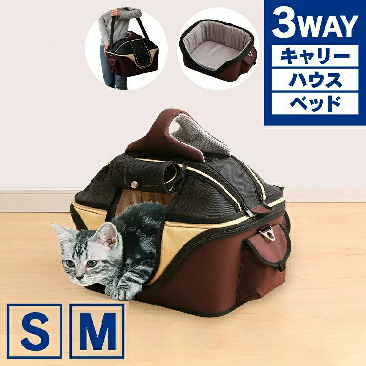 ں350ߥݥˤDAYǭ ڥå ꡼Хå  ڥå ꡼  ǭ ץߥڥåȥ꡼ S...