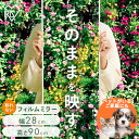 \新商品/◆ペットがいるおうちでも安心◆ 鏡 壁掛け 割れない 全身 大型 全身鏡 立て掛け 姿見 おしゃれ ミラー 軽量 ウォールミラー 姿見鏡 安全 スリム 賃貸 ダンス 28cm×90cm・115cm・150cm 50cm×160cm アイリスオーヤマ KWM *