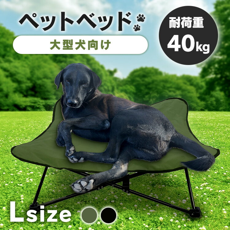 犬キャンプ|中・大型犬用の丈夫なペット用コットのおすすめランキング