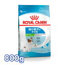 yKiz CJi  SNH GNXgX[ WjA 800g ^ (4kgȉ) 10܂ t[h hC v~At[h hbOt[h ROYAL CANIN [3182550794459]yDzyrcdb52z