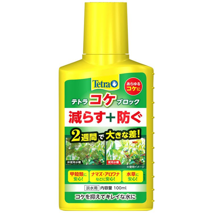 水草 アクアリウム 水槽 苔 テラリウム テトラ コケブロック100ml 水質調整剤 コケ こけ 緑ゴケ 藍藻 珪藻 藻類抑制 【D】【B】