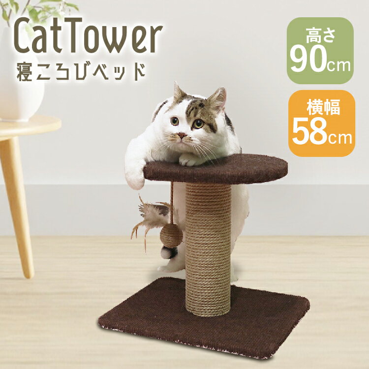 樂天商城 - モダンルーム 寝ころびベッド 84191ベッド 爪みがき 猫 おもちゃ ねこ 爪 ネコ カーペット コンパクト キャティーマン