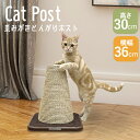 【5/1・2限定 最大2,000円クーポン有】爪とぎ 爪研ぎ 麻 ポール 猫 モダンルーム スクラッチにゃポスト 84193爪みがき 猫 爪磨き 全猫種 コンパクト ネコ ねこ 麻 猫用 キャティーマン(4)