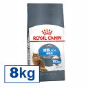 yKiz CJi L FCN Cg EFCg PA 8kg 얞C̔LpzIȃJ[PA Lbgt[h hC v~A ROYAL CANIN [3182550843966]yDzyrccf26z