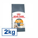 CJi L wA[&XL PA 2kg ᐳKi NŔ畆EтۂLp A_g щ Lbgt[h hC v~A ROYAL CANIN [3182550721738]yDzyrccf28z