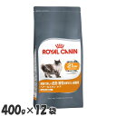 CJi L FCN wA[&XLPA 400g~12 Lbgt[h hCt[h v~At[h Lp L A_g 12ȏ XLPA 畆  lR L ybgt[h ROYALCANIN 蒠Ȃ 蒠yDzyrccf28z