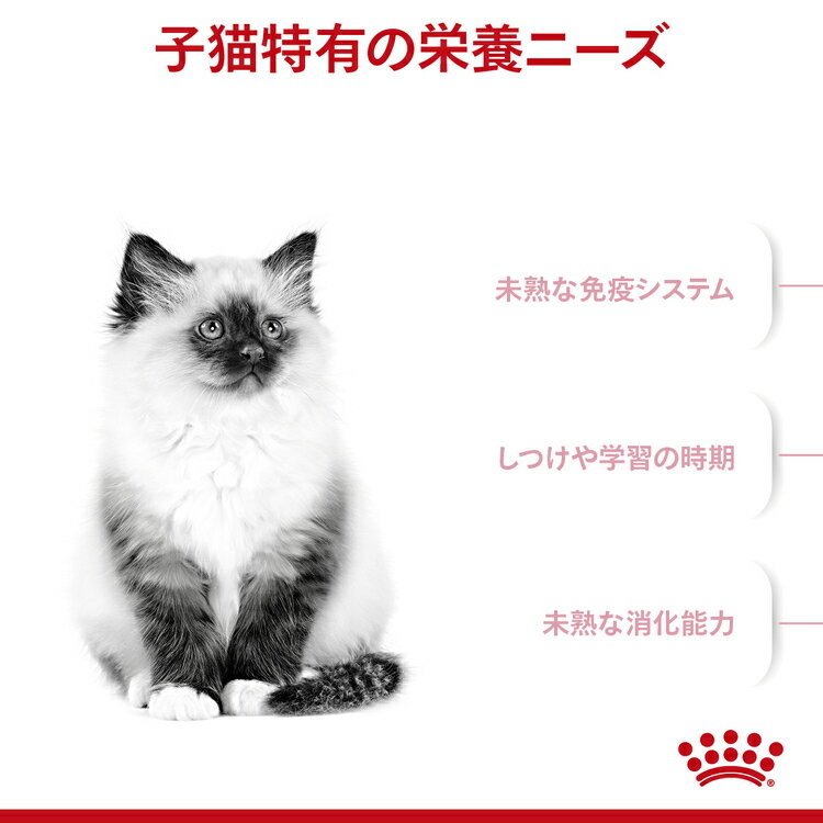 ロイヤルカナン 猫 キトン 400g×12個セット ≪正規品≫ 生後12ヶ月齢までの子猫用 キャットフード プレミアムフード ドライ 仔猫 キトンケア まとめ買い ROYAL CANIN [3182550702379][AA]【D】 2