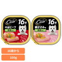 Cesar シーザー 高齢犬 ドッグフード 16歳からの ビーフ/ささみ 野菜入り トレイ 100g CE81N CE80N やわらか食感 トッピング アルミトレー ビーフ 絹ささみ味 犬 ウエットフード マース 16歳 シニア ビーフ ささみ 野菜