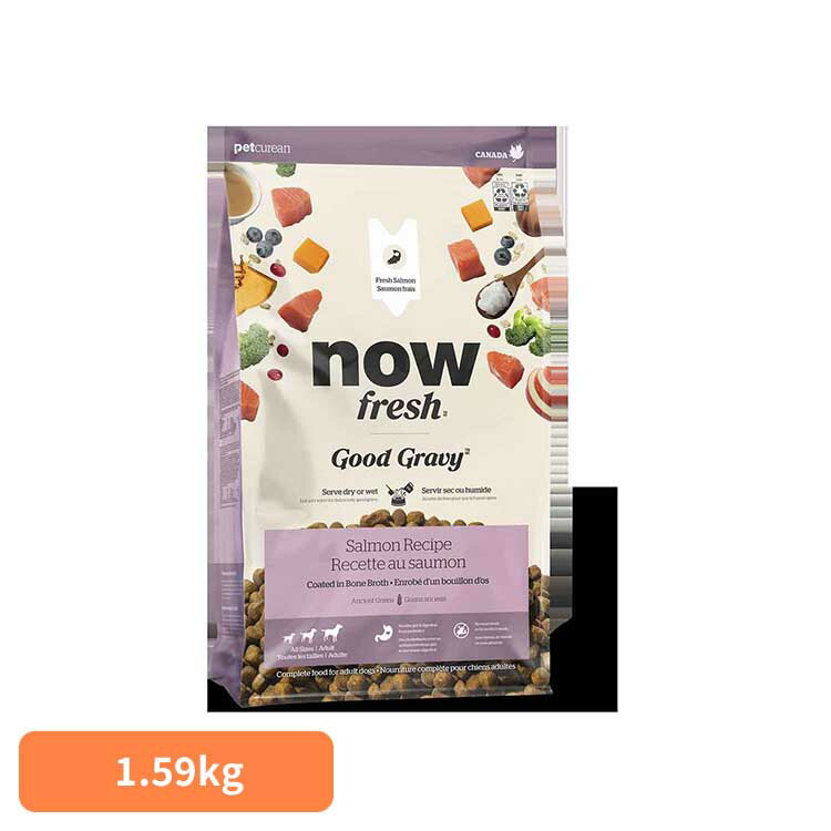 【P10倍★27日10時迄】NOW グッドグレービー OB サーモンレシピ 1.59kg ドッグフード ウェットフード ミールフリー 手作り 全犬種 成犬 シニア グレービー ふやかす サーモン グローバルペットニュートリション 【B】(4)