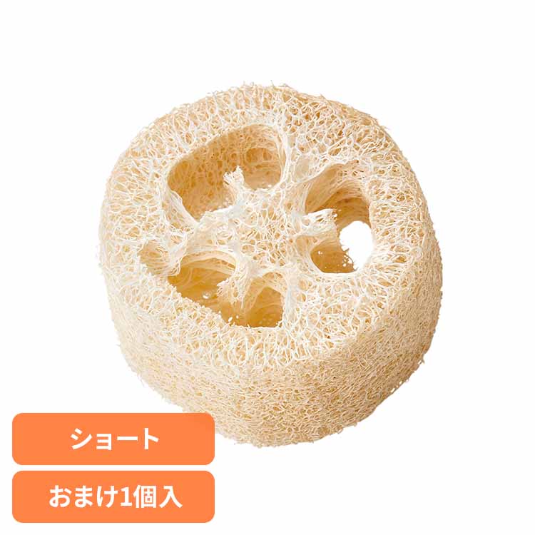 ミニマル工房 ヘチマトイ ショート1個＋おまけ1個 ML-685小動物 ハムスター うさぎ モルモット ペット 玩具 おもちゃ マルカン デンタル 歯 minimal LAND