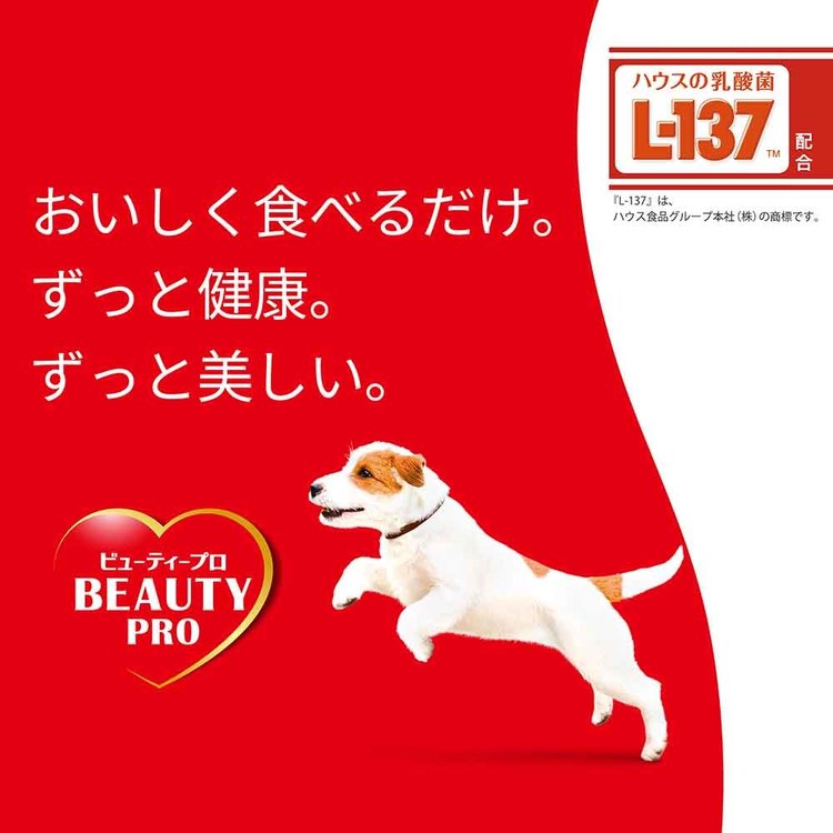 ドッグフード 10歳以上 660g 犬 ドッグフード 10歳 小粒 小分け シニア 総合栄養食 ドライ 日本ペットフード ビューティープロ petworldone-10144620 快適ペットライフ サンプル画像2