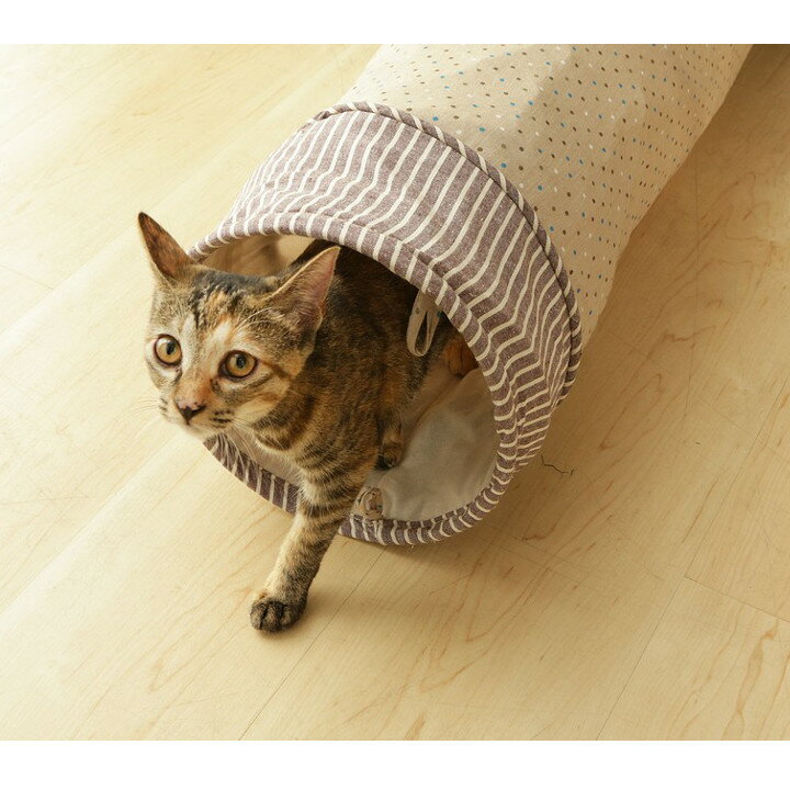 おもちゃ 猫 カシャカシャ トンネル 一人遊び カシャカシャ キャットトンネル 猫 トンネル ネコ  ...