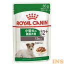 RCJ SHN-WET ミニ エイジング12+ 85g 犬フード WETタイプ アルミパウチ 小型犬専用 ウエット 高齢期 ROYALCANIN 85g ドッグフード シニア用 ロイヤルカナン 