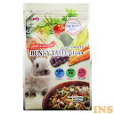 【GWフェア★店内全品5%クーポン有!5/3-7】うさぎ 食事 えさ 餌 NPF バニーテイストプラス 500gペットフード 小動物 ジャペル 【B】