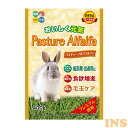 【GWフェア★店内全品5%クーポン有!5/3-7】チモシー ウサギ 牧草 うさぎ ウサギ 牧草 新パスチャーアルファルファ 400gパスチャー うさぎフード 牧...
