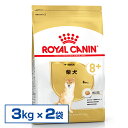 yKiz CJi  Č Ep 8+ 3kg~2Zbg hCt[h hbOt[h v~At[h Č  8Έȏ VjA Ck ROYAL CANIN [3182550866125]yDzyrcdb28z