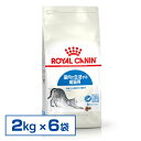 yKiz CJi L ChA Ő鐬Lp A_g LbgChA ChALbg  hCt[h v~At[h ROYAL CANIN [3182550704625][AA]yDz