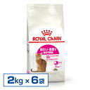 ロイヤルカナン 猫 FHN セイバー エクシジェント 2kg×6個セット ≪正規品≫ (旧 エクシジェント 35/30) 食事にこだわりにある猫用 猫用フード キャットフード プレミアムフード ドライ ROYAL CANIN 