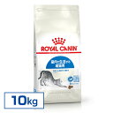   ロイヤルカナン FHN インドア 10kg 正規品 ロイヤルカナン 猫 インドア 猫 キャットフード 猫用 キャットインドア インドアキャット 室内飼い ドライフード