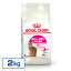 륫ʥ ǭ FHN С  2kg ʢ (  35/30) ǭѥա åȥա ץߥա ɥ饤 ROYAL CANIN[3182550717137]Dۡrccf12