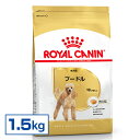 CJi  BHN v[h p 1.5kg ᐳKi 10ȏ A_g  t[h hC v~At[h ROYAL CANIN [3182550743174]yDzyrcdb13z