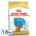 ＼25日限定！全品P2倍／ロイヤルカナン 犬 BHN プードル 子犬用 1.5kg ≪正規品≫ 生後10ヵ月齢まで パピー 仔犬 犬 フード ドライ プレミアムフード ROYAL CANIN キャットランド 