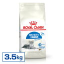 yKiz CJi L FHN ChA 7+ 3.5kg Ő7Έȏ̒Lp VjA LbgChA ChALbg hCt[h v~A  ROYAL CANIN [3182550784412]yrccf07z