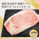 ＼30％OFFクーポン対象！30日まで／国産 黒毛和牛 特選ランク厚切りサーロインステーキ（500g×1）(1～2人前)