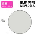 円形 丸型 汎用サイズ (直径291mm-300mm) ブルーライトカット【光沢】保護フィルム 【各サイズ】