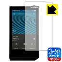 ブルーライトカット【 反射低減 】保護フィルム COWON PLENUE R2 日本製 自社製造直販