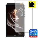 ブルーライトカット【 反射低減 】保護フィルム New HiBy R6 (2021年モデル) 日本製 自社製造直販