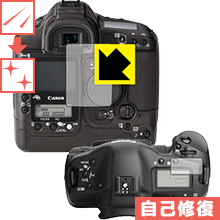 ʽݸե Canon EOS-1Ds Mark II  ¤ľ