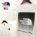 THE NORTH FACE ザ ノースフェイス BOX NSE LONG-SLEEVE ロングスリーブ ロンT カットソー メンズ GARDENIA WHITE オフホワイト