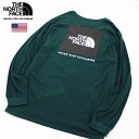 THE NORTH FACE ザ ノースフェイス BOX NSE ボックスロゴ ロングスリーブ ロンT 長袖 カットソー メンズ PONDEROSA GREEN グリーン系色