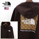 THE NORTH FACE ザ ノースフェイス BOX NSE PULLOVER HOODIE プルオーバー パーカー メンズ ブラウン系色 裏起毛