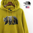 THE NORTH FACE ザ ノースフェイス 【 CA、HALFDOME BEAR HOODIE 】 プルオーバー パーカー メンズ MINRLGLD 裏起毛